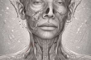 Respiratory System Anatomy: Nose Function and Structure