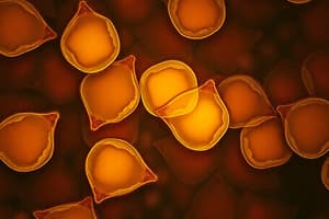 Histocytes Overview and Structure