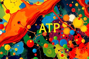 Metabolic Pathways and ATP Regulation