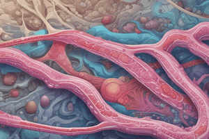 Biology Lecture 3: Epithelial Tissues