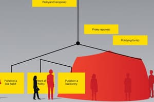 Sociology Functionalism Overview