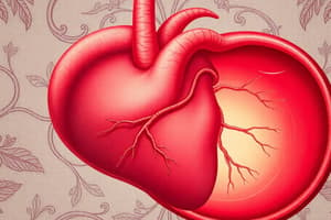 Fetal Circulation