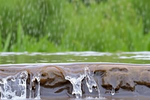 Understanding Precipitation, Types and Importance