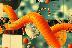 Nucleic Acids Overview