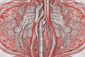 Circulatory System Overview