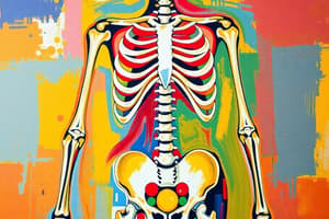 Classification of the Skeletal System