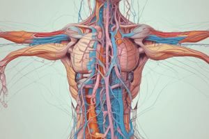 Neurophysiology: ANS- Pt 2