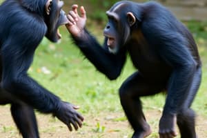 Chimpanzee Territorial Behavior Study