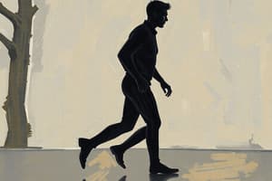 Gait Analysis Overview and Phases