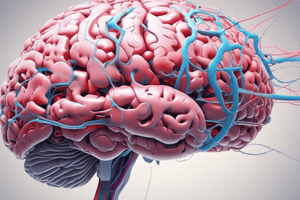 Neuroscience Studies: Basal Ganglia