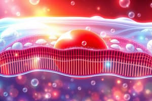 Cell Membrane and Permeability Quiz