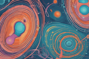 Mitosis: Chromosomes vs Chromatids