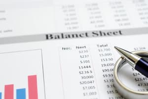 Balance Sheet: Practice Questions - Chapter 4