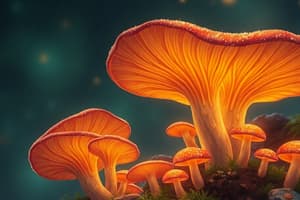 General Characteristics and Reproduction of Fungi