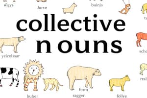 Collective Nouns Quiz