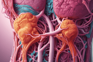 Granuloma Mediastinum and Fibrosis