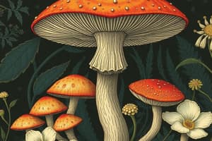 Plant Toxicity and Mushroom Poisoning