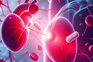 Cardiovascular Medications Quiz