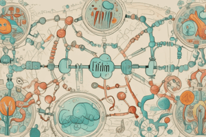 Amino Acid Metabolism and the Urea Cycle