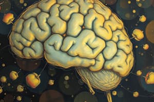 Overview of Neuroscience