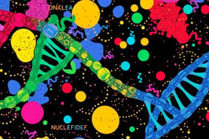 DNA, RNA, Nucleotides, and Nitrogenous Bases