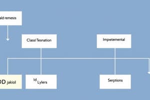 Derivative Classification Flashcards