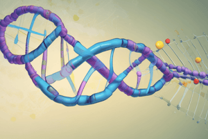 Nucleotide Structure and Composition