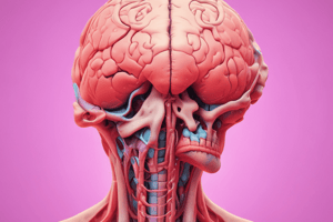 Pituitary Gland and Its Hormones