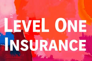 Overview of Level One Insurance