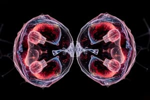 Cell Biology: Mitosis Quiz