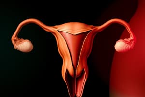 The Female Reproductive System