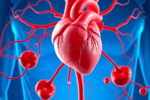 Circulatory System Overview