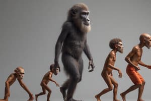 Proceso de Humanización e Hominización