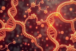 Nucleic Acids Overview