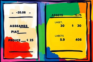 Balance Sheet Overview