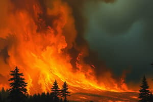 Incendios Forestales - Test 3