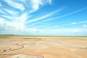 Dutch Landscapes and Pleistocene Epoch