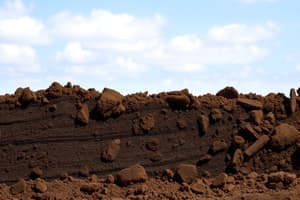 Soil Classification Fundamentals Quiz