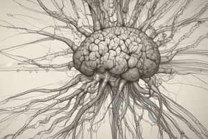 Peripheral and Autonomic Nervous System