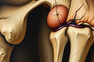 Fracture Healing Steps in Biology