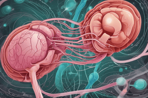 Tubuloglomerular Feedback Mechanism