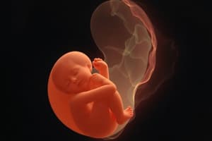 Embryo Development Quiz