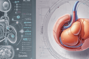 Assessing Tubular Function in Kidneys