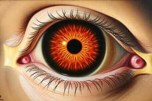 Eye Trauma: Commotio Retinae & Related Conditions