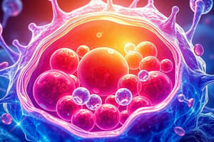 Cell Structure and Function Quiz