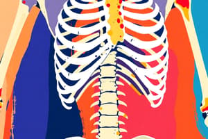 Skeletal Elements and Functions Quiz