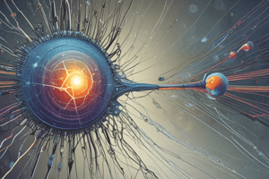 Neurophysiology: Vision- Pt 2