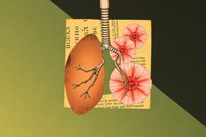 Respiration in Organisms