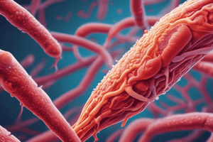 Borrelia recurrentis Quiz