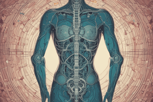 Human Body Structural Organization